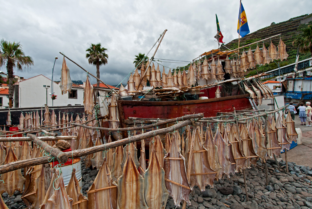 314_Madera_Camara de Lobos.jpg